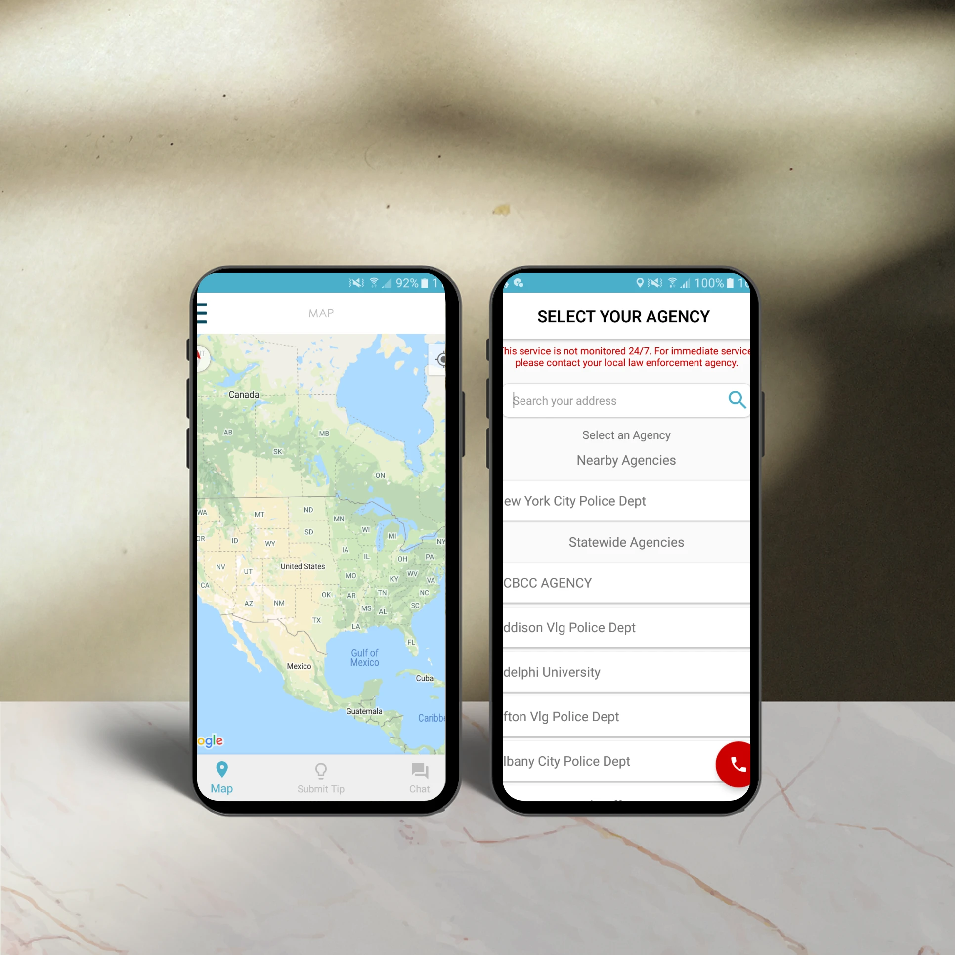 See It Say It project image 1