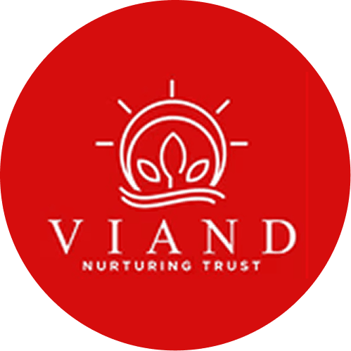 Viand Global Logo